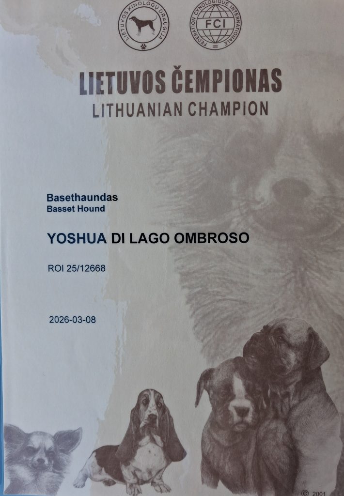 20260308_155324 - Yoshin matkassa