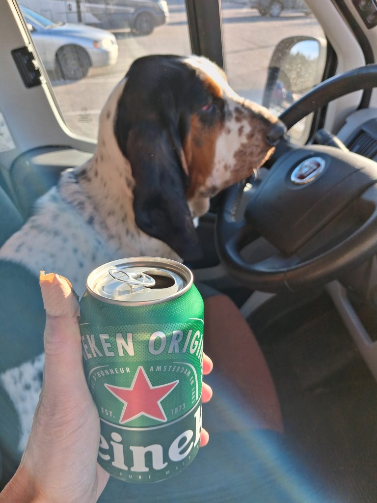 Dog sits in the driver’s seat of a car, nose near the steering wheel, while a hand holds a green Heineken can in the foreground.