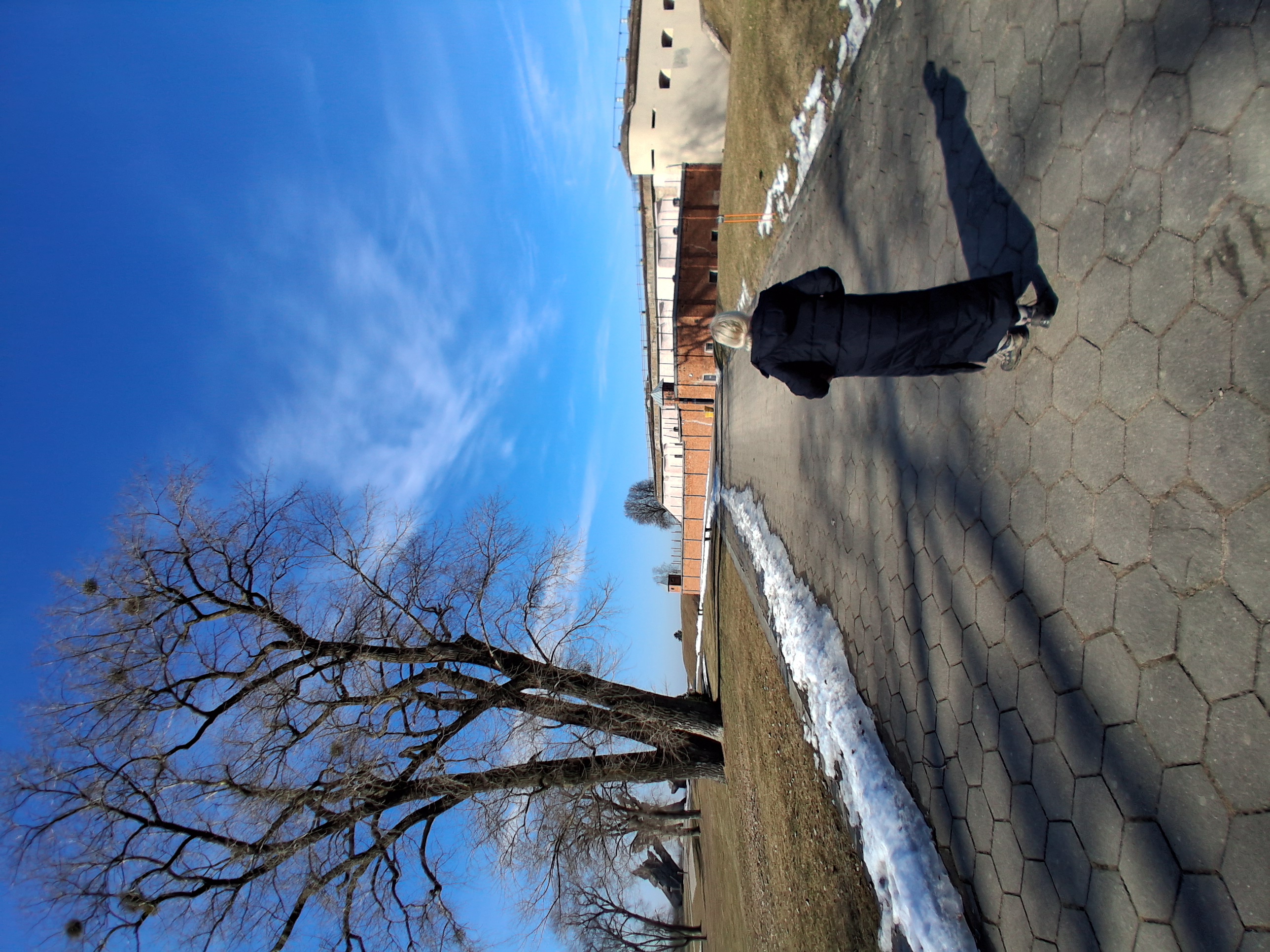 20260310_111040 - Yoshin matkassa