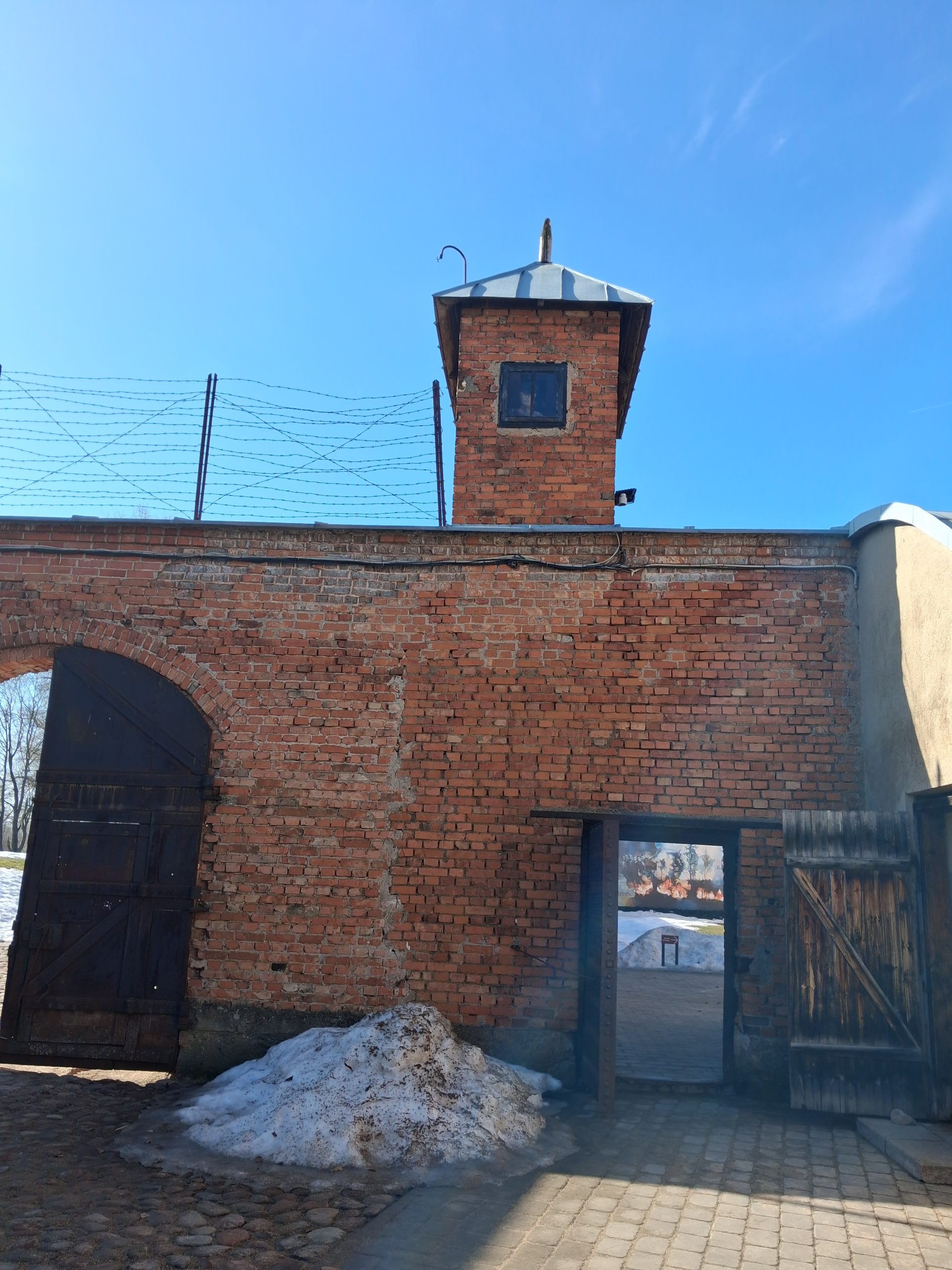 20260310_115605 - Yoshin matkassa