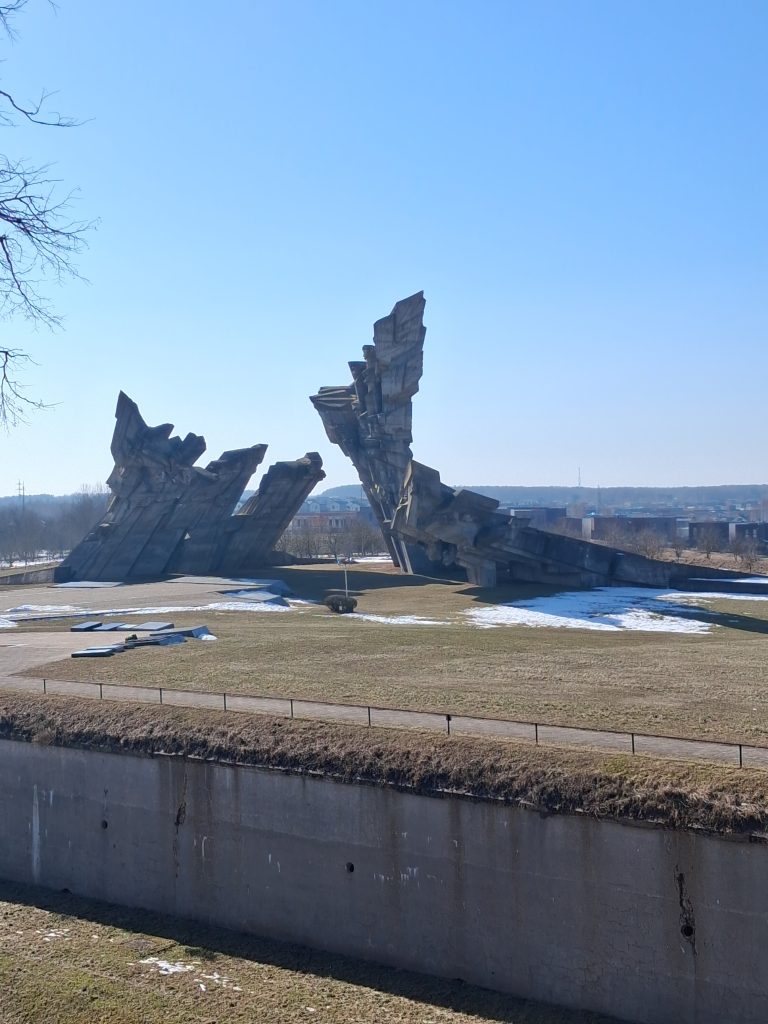 20260310_120212 - Yoshin matkassa