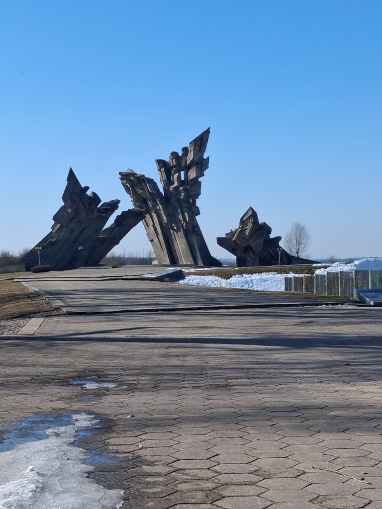 20260310_121230 - Yoshin matkassa