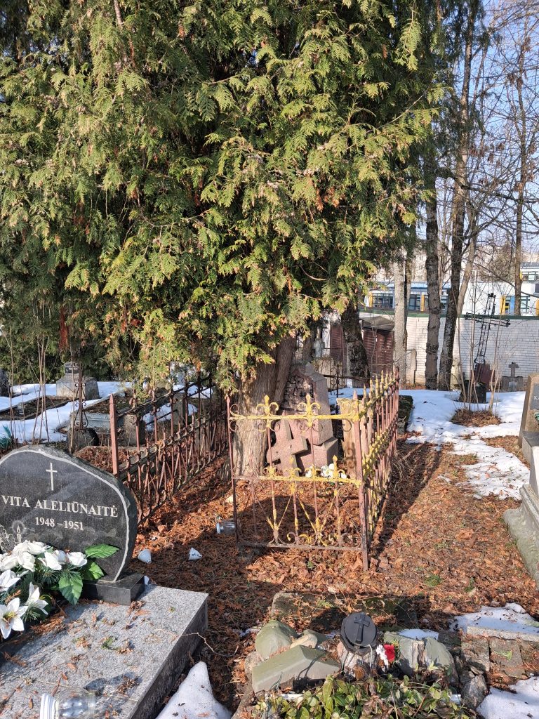 20260311_101407 - Yoshin matkassa