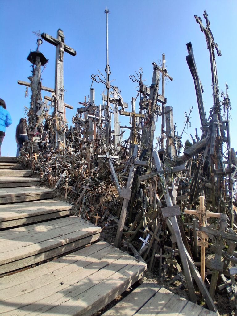 20260311_135637 - Yoshin matkassa